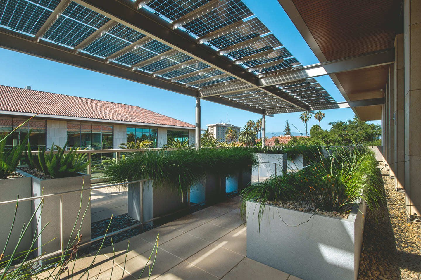 Eine Überdachung für die Terrasse besteht aus halbtransparenten Solarpanels, die auf einer begrünten Terrasse Schatten spenden.