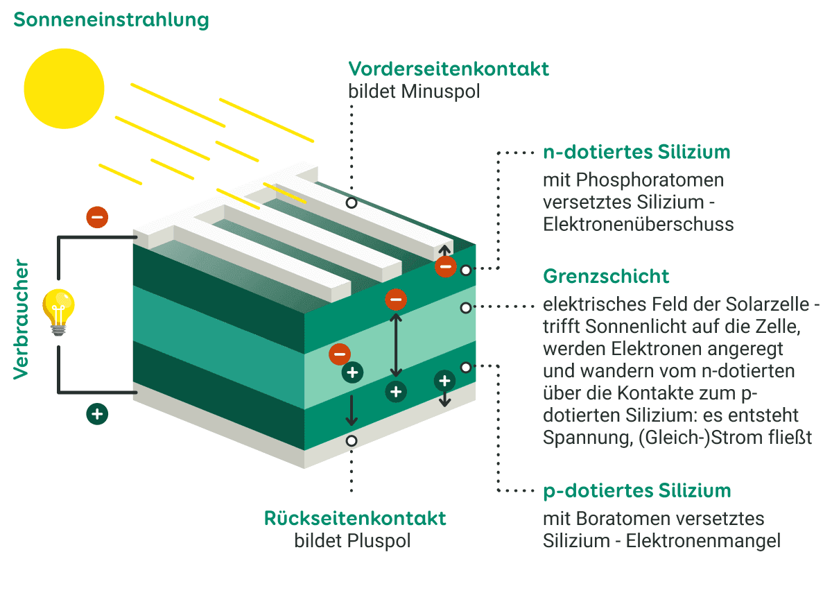 Solarzelle Aufbau und Funktion im Querschnitt sieht man den Vorderseitenkontakt mit den beiden Siliziumschichten der Grenzschicht und dem Rückseitenkontakt