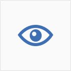 Auge / Besichtigen Icon
